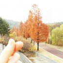 큰재봉길 이미지