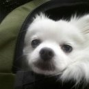 까꿍이 하우스 이미지