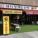 앗싸돼지요 이미지