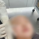 비-스킨피부과의원 이미지