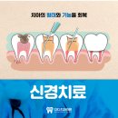 뿌리내린치과의원 | [미남역치과]앞니 뿌리 염증, 재신경치료로 치아를 살린 케이스