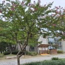하남문화예술회관 대극장. 마티네 콘서트 〈미술관으로 간 클래식〉 #3. 미국 이미지