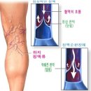 허브약국 이미지