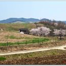 정권목장 이미지