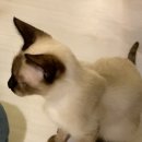 (주)버즈커피 이미지