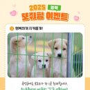 참사랑소아과의원 이미지