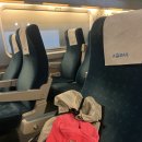 최영수 | [블챌] 산리오 마라톤 후기, 그리고 파르나스 서울 셀프 감금