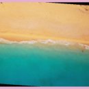 산천초목 이미지