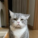 이노동물병원 이미지