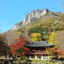 백양사(순천) 이미지