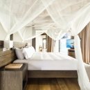 말리비치 이미지