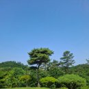 골프존카운티 화랑cc 원낭자코스 6월 라운드 후기, 공략법