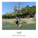 제일애견 | 경산 애견동반카페 애견운동장 오던