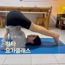 다합주택 | 다합 놀거리 추천 | 요가 클래스 추천 및 가격 총정리(feat. 태국음식점 Lemongrass)