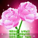 행복한하루 이미지