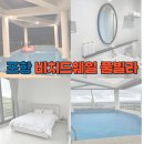 비치드웨일풀빌라B | 포항 호미곶 근처 오션뷰 풀빌라 숙소 비치드웨일 풀빌라 내돈내산 후기