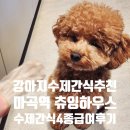 마곡역강아지수제간식 맛집 츄잉하우스 후기 | 강아지 수제간식 추천