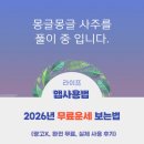 신한광고 | (광고×, 실제후기)신한은행 어플로 2026년 무료 운세 보는 법