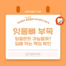 플레르치과의원 네이버블로그