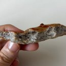 [공릉 맛집] 피자메카 공릉점 l 흑미도우로 만든 건강한 피자와 치즈 스파게티 (내맘대로 반반피자)