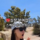 더모텔 THE MOTEL 이미지