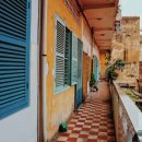 건기속옷 이미지