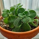 무릉세탁 이미지