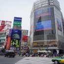 스타벅스 교차로 앞 이미지