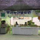 약초발효원 이미지