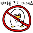 더원복싱다이어트 클럽 이미지