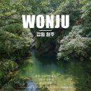 섬강 PC | 강원도 여행 가볼만한곳 원주 자작나무 숲길