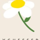 세이치즈데이