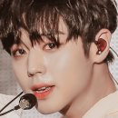 데이리에 이미지