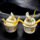 중앙펫 | 강아지동반 여행 : 세인트존스호텔 펫 객실 솔직방문후기 / 강릉중앙시장 / 선채향 전본 반려견동반...