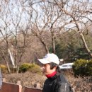 태능총포사 Daum카페