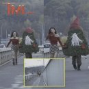 엠플리파이