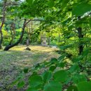 안성공원 삼층석탑 | 경주 무장사지 - 경주 무장사지 삼층석탑 · 경주 무장사지 아미타불 조상 사적비