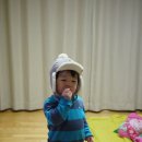 퍼니그레이
