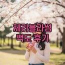 블라썸미디어 | 스타벅스 체리블라썸 백도 칼로리 가격 후기