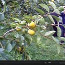 류진농장 이미지