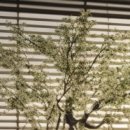 여담한의원 이미지