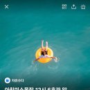 한치목장 네이버블로그