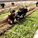 화도농장 이미지