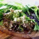 서파대나무쌈밥 이미지