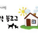 난다 린 이미지
