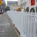 서울마곡유치원 이미지