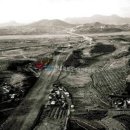 양재2동100 이미지