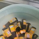 고구려태권도장 이미지