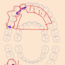 그림치과기공소 이미지