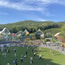 웁스(OOPS) 이미지